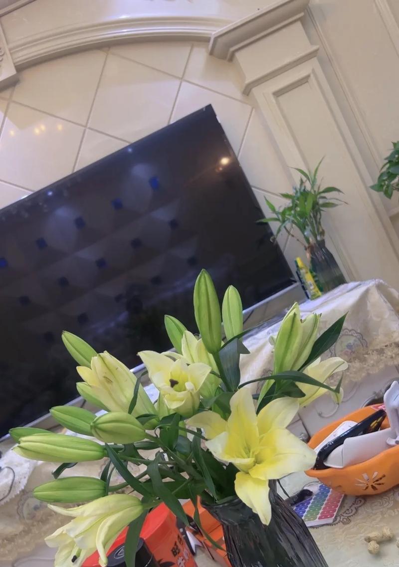 黄百合花语与寓意（探秘黄百合的花语和含义，带你领略黄百合的美丽）-第1张图片-绿意生活
