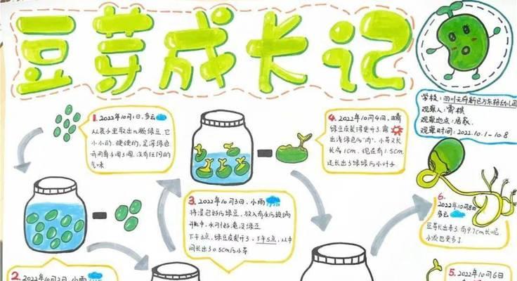 黑豆发芽全过程剖析（如何让黑豆顺利发芽，从而增加食用价值？）-第3张图片-绿意生活