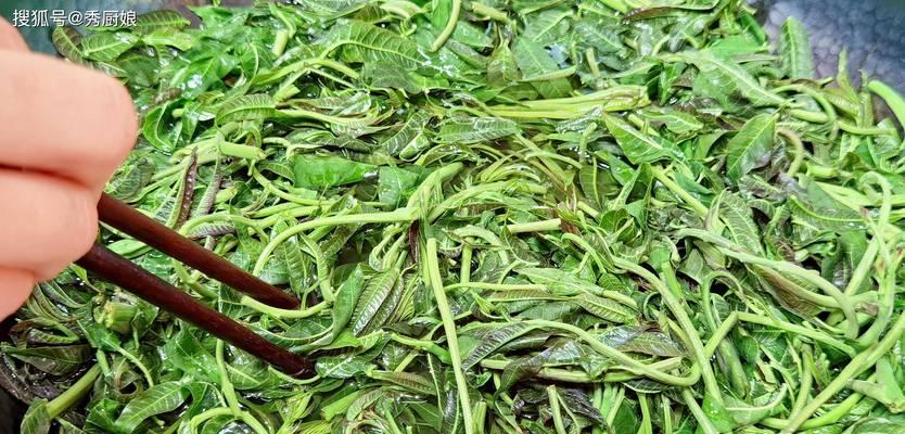 香椿的最佳食用季节（探秘香椿的养生之道）-第1张图片-绿意生活