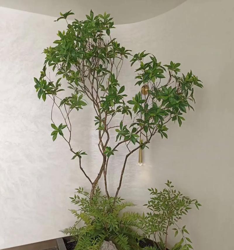 楼梯口植物装饰的艺术-第1张图片-绿意生活