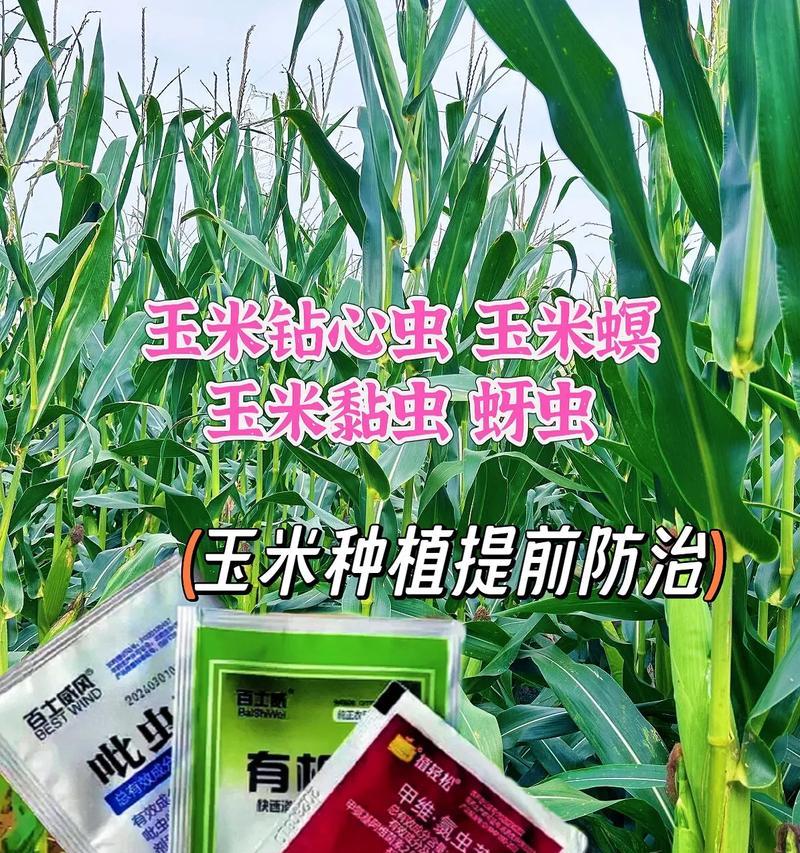菠萝蜜钻心虫防治方法（选用正确农药防治钻心虫）-第2张图片-绿意生活