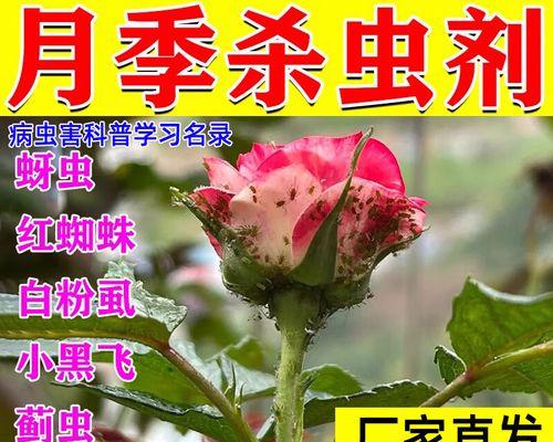 防治辣椒钻心虫的有效方法（打什么药效果好？如何正确防治？）-第3张图片-绿意生活