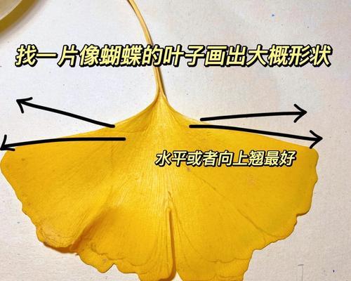 银杏树的发芽长叶过程（了解银杏树生长规律，让您更好地关注它的成长）-第1张图片-绿意生活