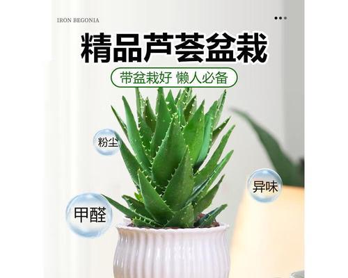 仙人掌的浇水技巧（春夏秋冬，几天浇一次？如何科学浇水？）-第3张图片-绿意生活