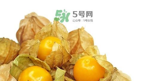 姑娘果的性质解析（探究姑娘果的热凉属性及营养价值）-第1张图片-绿意生活