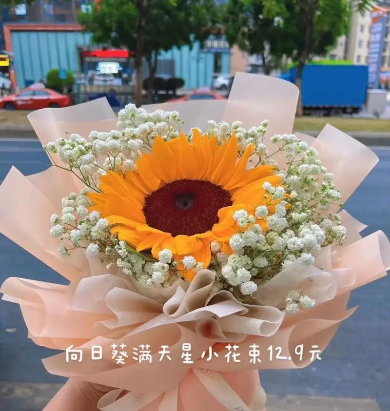 向日葵的花朵结构（揭开向日葵完全花的真相）-第2张图片-绿意生活