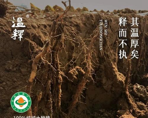 如何挑选好吃的铁棍山药（如何识别新鲜的铁棍山药）-第2张图片-绿意生活