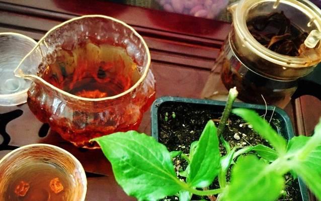 油烟机的废弃油不是垃圾，可以再利用（浇花是最好的归宿，让废弃变成营养）-第3张图片-绿意生活