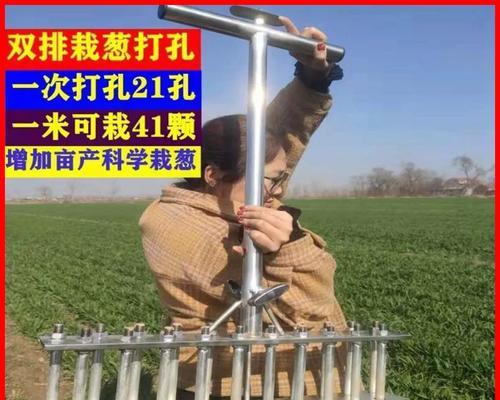 大葱移栽全攻略（什么时候移栽最合适？移栽的方法和注意事项）-第1张图片-绿意生活