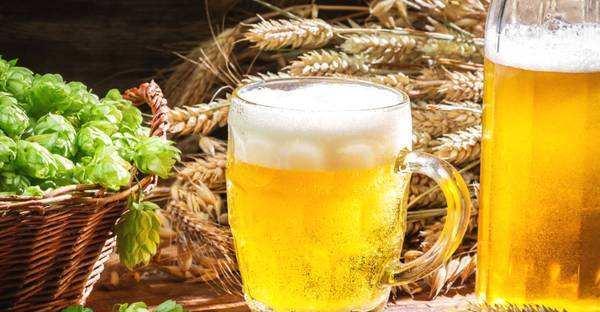 虎刺梅可以浇啤酒吗？——揭开植物浇酒之谜-第3张图片-绿意生活