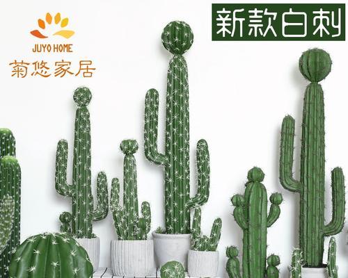 仙人掌——热带植物的代表（了解仙人掌，探寻热带植物的奥秘）-第2张图片-绿意生活