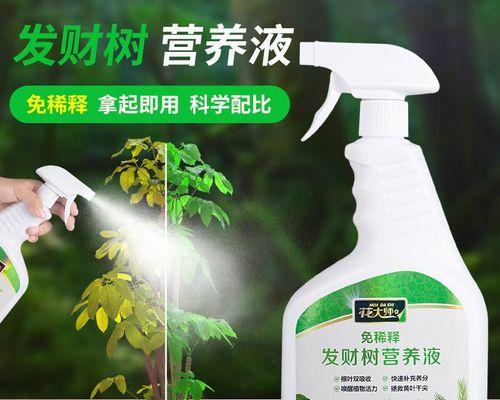让幸福树更茂盛（选择正确的肥料，为您的幸福树创造充足养分）-第3张图片-绿意生活