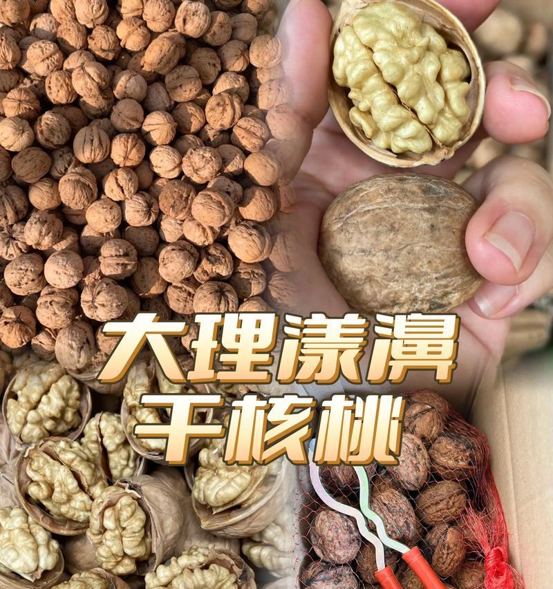 核桃的种植与养护（从栽培到收成，打造一片核桃林的全过程）-第2张图片-绿意生活