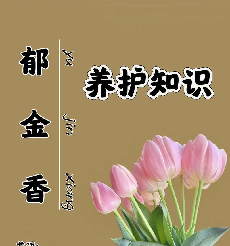 郁金香的生长环境及特点（探究郁金香的适宜生长条件与栽培技巧）-第3张图片-绿意生活