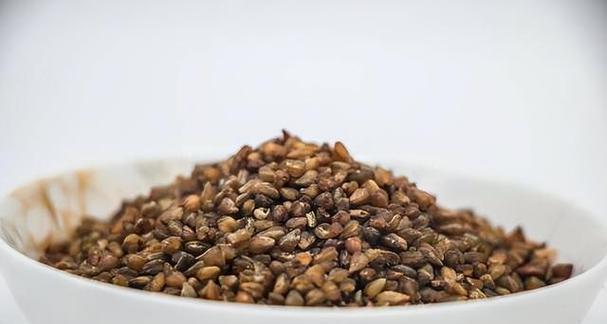 苦荞和荞麦（从起源、特点、用途看荞麦和苦荞的区别）-第1张图片-绿意生活