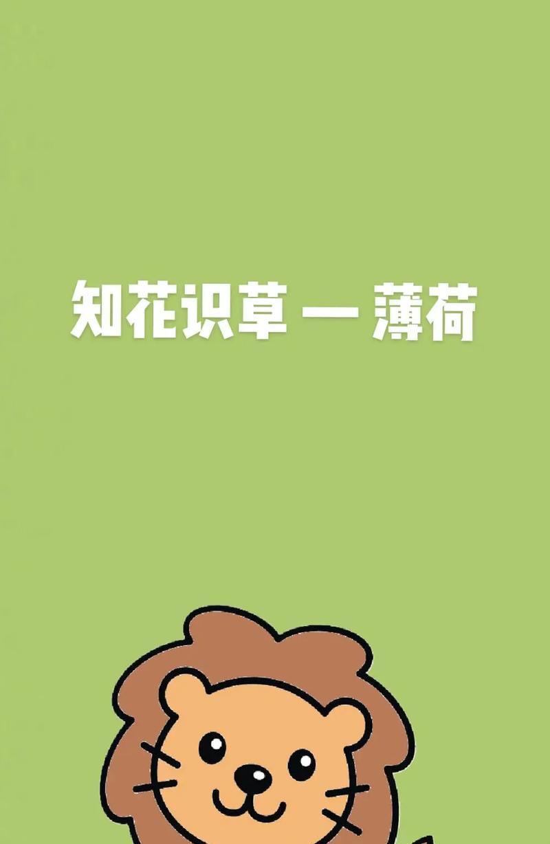 解读薄荷叶的花语（探寻薄荷叶所蕴含的情感和寓意）-第2张图片-绿意生活