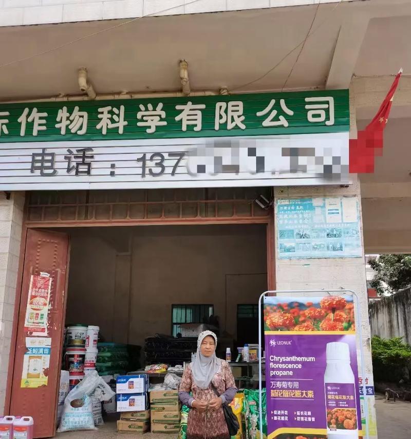 探秘菊花的生长环境条件及特点（菊花的生长要求和生态特点，适宜种植环境，经济价值和药用价值）-第3张图片-绿意生活