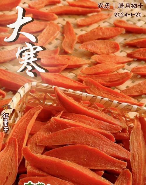 大寒时节适合种什么菜（吃出健康，大寒种菜攻略）-第3张图片-绿意生活