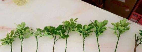 迎春花扦插的方法与技巧（让您的花园充满春天的气息）-第1张图片-绿意生活