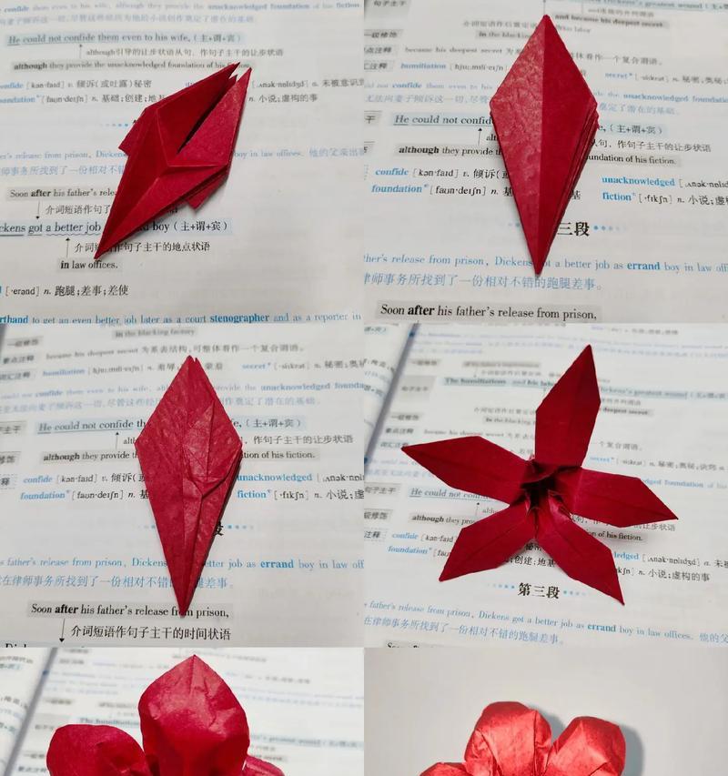扶桑花的扦插繁殖技巧（图解扶桑花插枝方法，轻松培育自己的扶桑花）-第3张图片-绿意生活