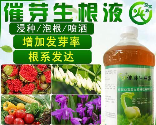 白芨肥料的选择与施用（如何选择最适合的白芨肥料？）-第1张图片-绿意生活