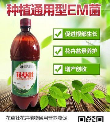 白芨肥料的选择与施用（如何选择最适合的白芨肥料？）-第2张图片-绿意生活