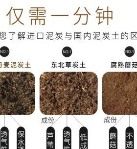 多肉植物的土壤配制方法（打造适合多肉植物生长的土壤体系）-第2张图片-绿意生活