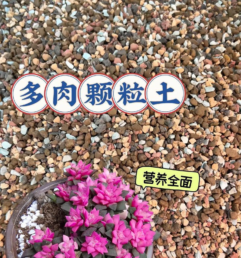 多肉植物的土壤配制方法（打造适合多肉植物生长的土壤体系）-第1张图片-绿意生活