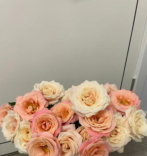姜荷花的醒花过程（探究姜荷花醒花的条件和方法）-第3张图片-绿意生活