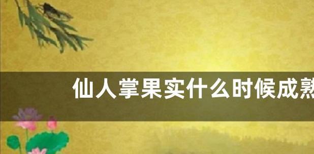 仙人掌果成熟上市时间及特点（探究仙人掌果成熟周期和品质特点，了解上市时间和购买注意事项）-第2张图片-绿意生活