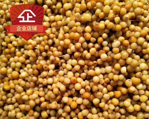黄精的最佳播种时间（如何选择最适合的黄精播种时间）-第2张图片-绿意生活