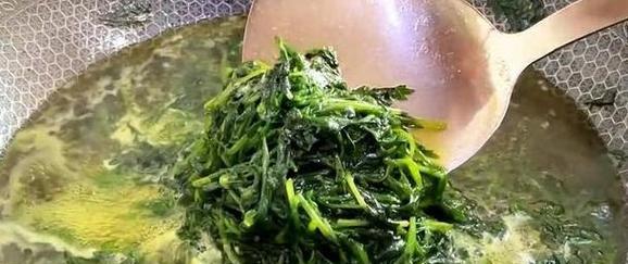 青菜烂心问题解决方法剖析（解决青菜烂心问题的实用技巧）-第1张图片-绿意生活