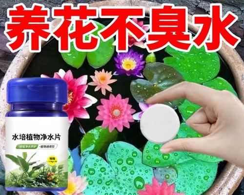 睡莲烂叶子的原因及处理方法（水生植物疾病的防治技巧）-第3张图片-绿意生活