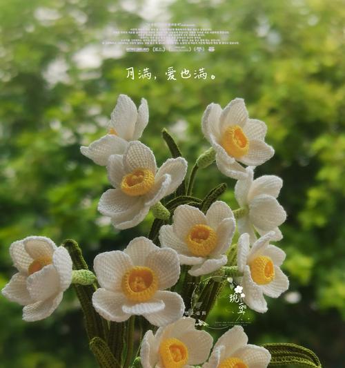 水仙花的花语（探究水仙花的意义与象征）-第3张图片-绿意生活