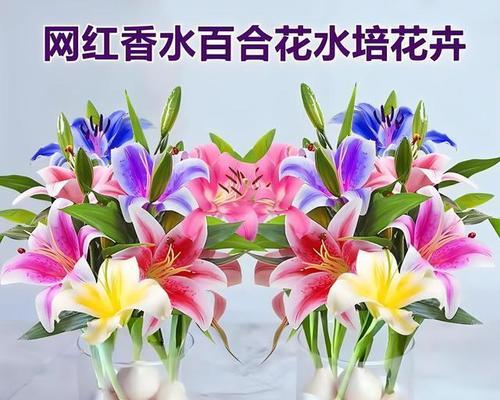 百合开花有毒吗？室内养护全指南（了解百合的有毒成分，科学养护室内百合）-第1张图片-绿意生活