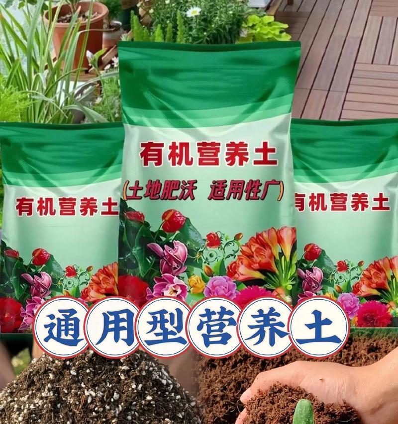 网上购买营养土能否直接种花？（了解营养土的使用方法，让你种出美丽的花儿）-第2张图片-绿意生活