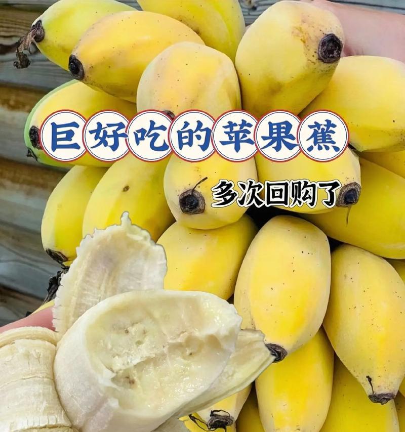揭秘香蕉含糖量高的真相（了解香蕉的营养成分和糖分含量，享受健康生活）-第2张图片-绿意生活