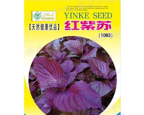 苏子叶种植的最佳月份（掌握种植时间，助力丰收）-第2张图片-绿意生活