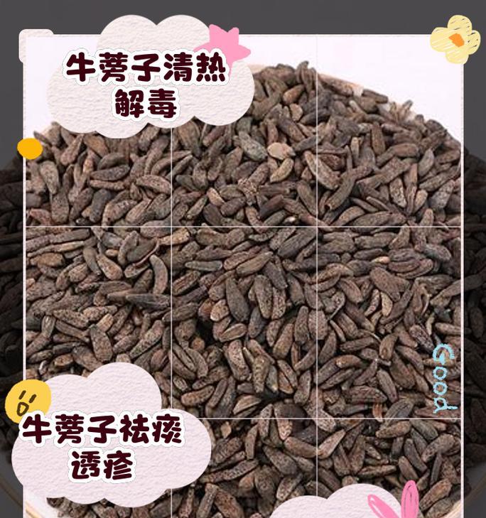 牛蒡种植全攻略（牛蒡种植时间和方法详解，让你轻松掌握农业技巧）-第1张图片-绿意生活