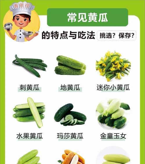 黄瓜生长条件和特性剖析（探究黄瓜的生命力和适应力，为高产增产提供参考）-第3张图片-绿意生活