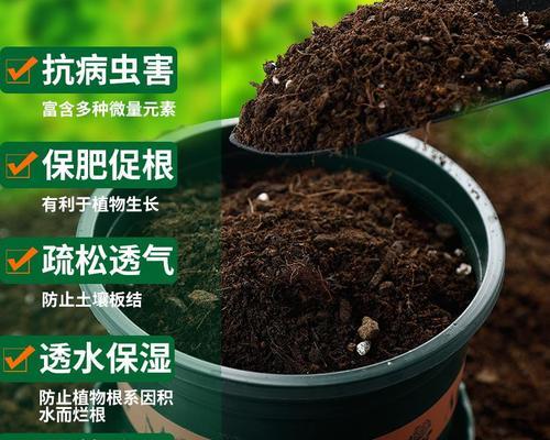 盆栽葡萄的土壤配方探究（最佳土壤配置和土壤管理技巧）-第2张图片-绿意生活