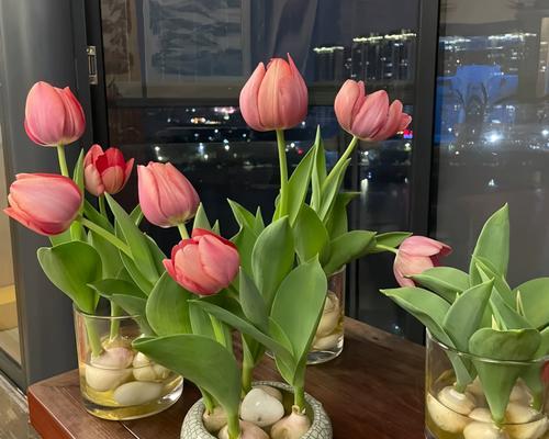打造郁金香花园，土配方不可少（以土为主，打造最美郁金香）-第1张图片-绿意生活
