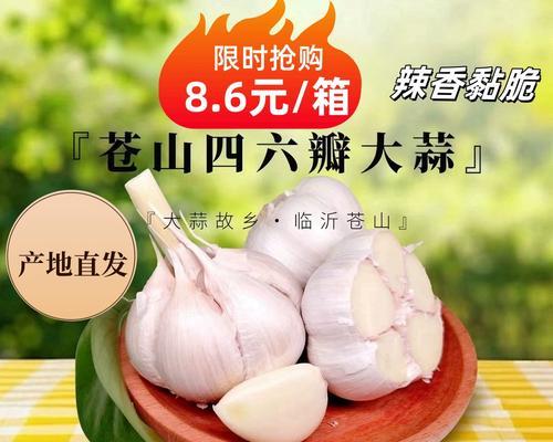 揭秘大蒜的原产地（探寻大蒜历史渊源，解读其神奇功效）-第2张图片-绿意生活
