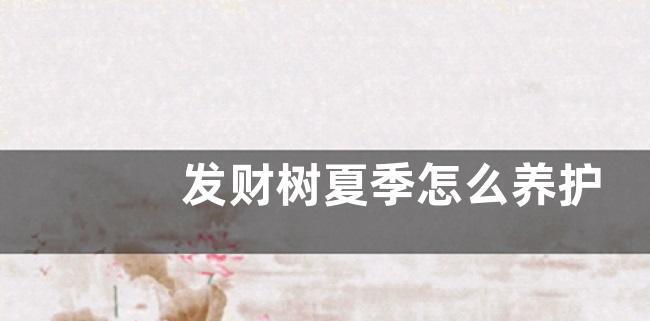 夏季如何养护你的发财树，让它茁壮成长（养护技巧、注意事项、合理浇水）-第3张图片-绿意生活