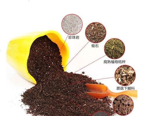 打造最佳营养土，让桂花开得更美（掌握桂花土的配制技巧，打造适合桂花生长的营养土）-第1张图片-绿意生活