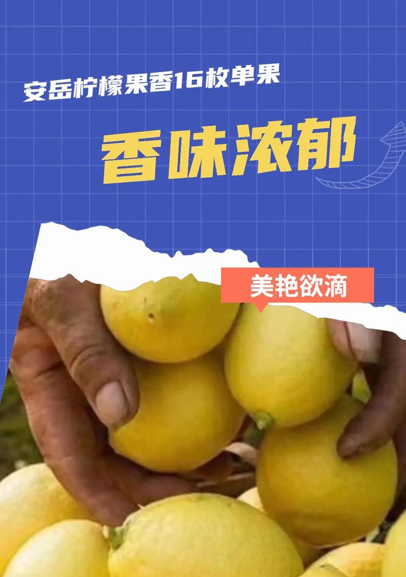 酸梅上市时间揭晓！（迎接酸爽之味，等待上市开始！）-第1张图片-绿意生活