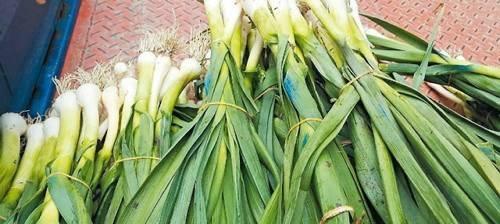 蒜苗可以生吃吗？——揭秘蒜苗的营养和食用方法（你所不知道的蒜苗）-第1张图片-绿意生活