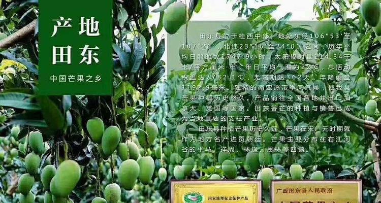 佛手瓜的肥料管理（喜好施什么肥料）-第2张图片-绿意生活