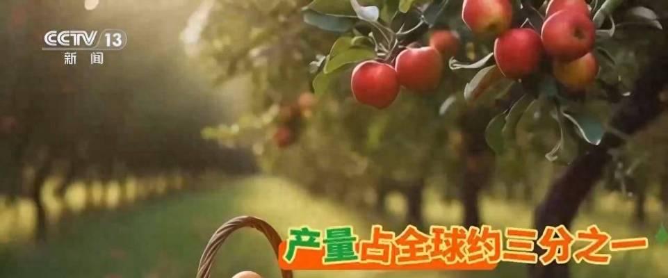 车厘子亩产量高吗？（解析车厘子的产量与收益）-第3张图片-绿意生活