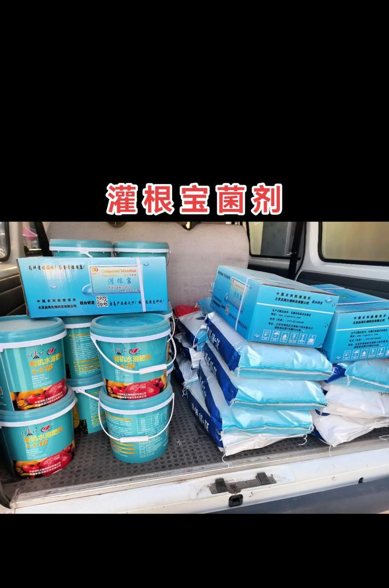 生姜追肥的最佳肥料选择（生姜的生长发育与肥料选择）-第3张图片-绿意生活